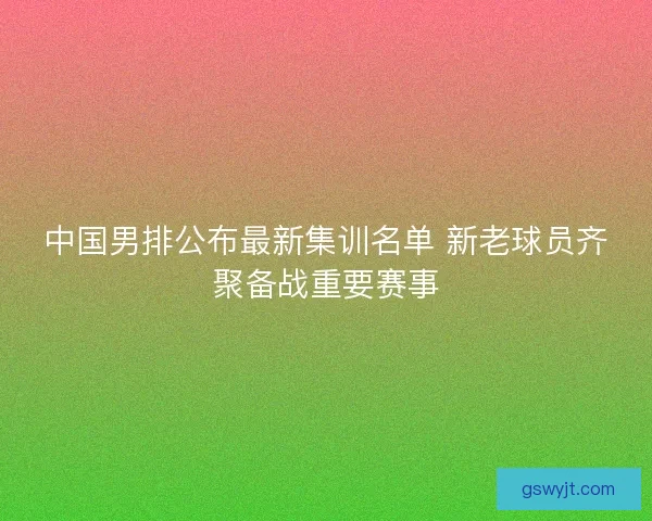 中国男排公布最新集训名单 新老球员齐聚备战重要赛事