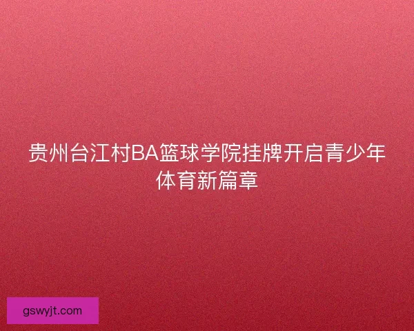 贵州台江村BA篮球学院挂牌开启青少年体育新篇章